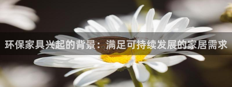 杏耀平台分红：环保家具兴起的背景：满足可持续发展的家居需求